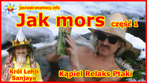 Jak mors część 1 - Ptaki Kąpiel Relaks