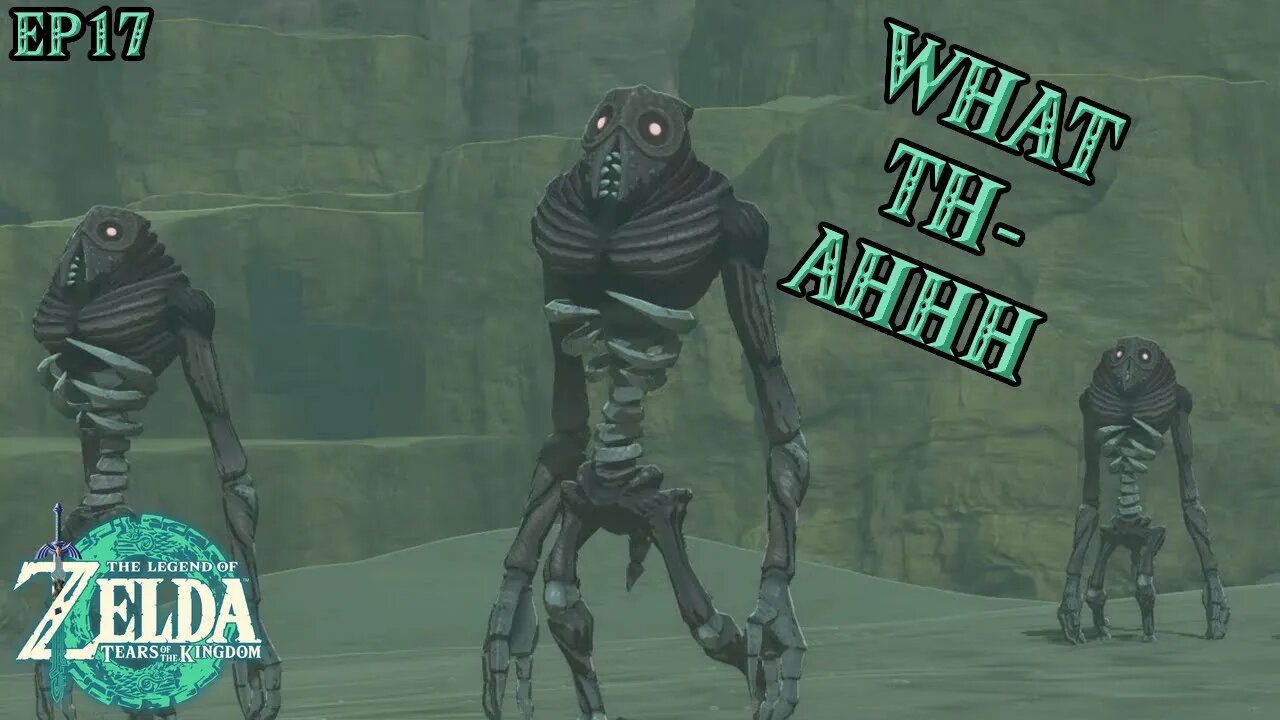 There are GIBDOS EVERYWHERE AHHHH in Tears of the Kingdom - EP17 #stjude #tearsofthekingdom