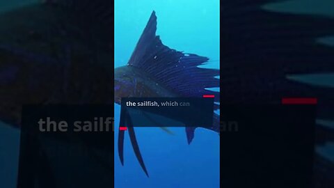 Mind Blowing Fact #... Unleash Your Brain: Discover the Most Shocking Fact of the Day #shorts