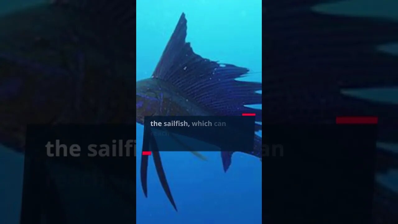 Mind Blowing Fact #... Unleash Your Brain: Discover the Most Shocking Fact of the Day #shorts