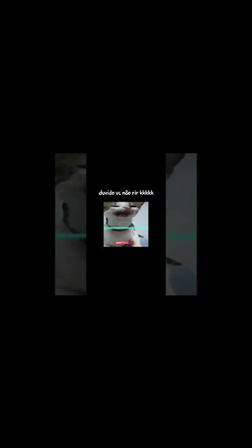 VAMOS VER SE VC VAI DAR RISADA E COMPARTILHE PRO MUNDO 👊😂