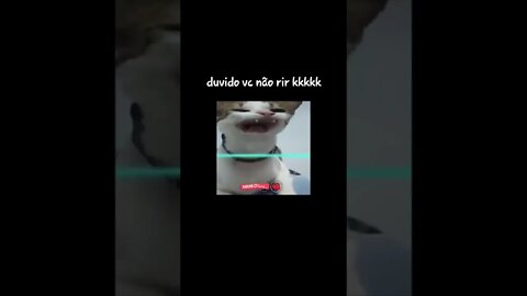 VAMOS VER SE VC VAI DAR RISADA E COMPARTILHE PRO MUNDO 👊😂