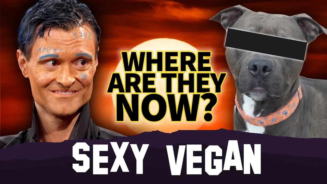 SexyVegan | Where Are They Now? | Charged in New Dog Allegations