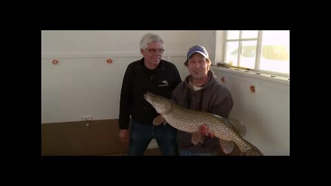 Multispecies ice fishing in Lake of the Woods