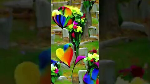 from the bereavement of a loved one colorful..... Animation