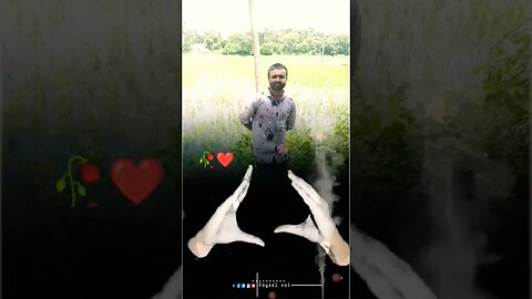 viral video