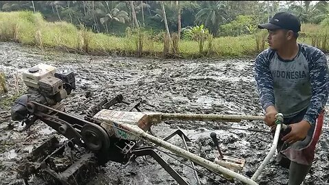 Traktor Bajak Sawah di joki Anak Muda Jaman Now || Traktor Mini Bajak Sawah