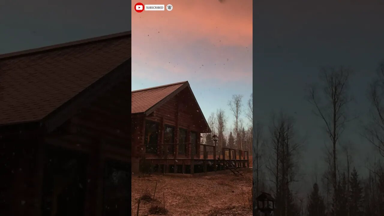 Soothing view😍:#shortvideo #shortsyoutube #shorts