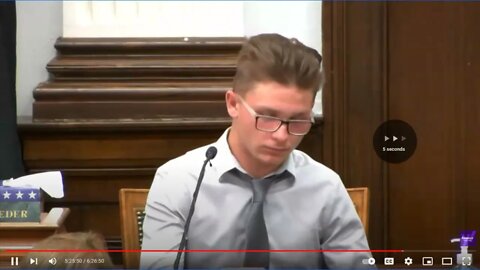 Kyle Rittenhouse Trial - 4 - Finished Up First Witness For Prosecution - Dominick Black