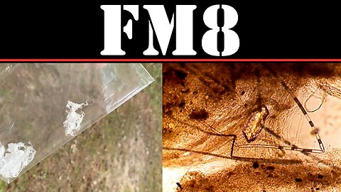 California Spider Silk Investigation - Part One