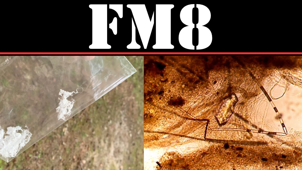 California Spider Silk Investigation - Part One