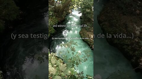 🏞️Uncover the secrets of the river's journey| Relaxing Music #shorts #relaxingmusic #meditationmusic