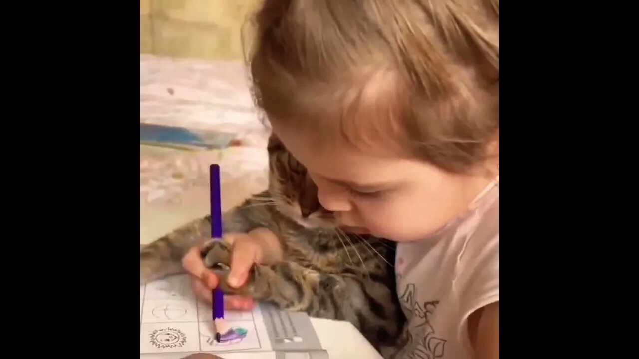 “Why, just why mommy?” - cat 😂 #shorts