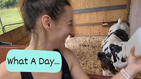 Learning Kim's Morning Routine & Tackling My Own Chores