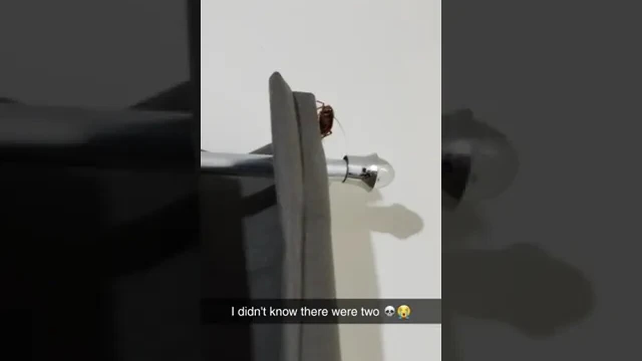 I Didn't Know There Were Two Of Video By Kelpnoodle id #Shorts