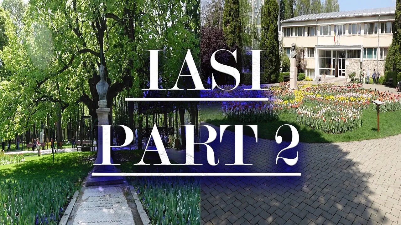 What can you do in half a day in IASI