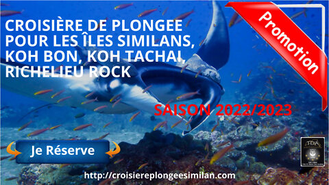 🐋Croisière Plongée Fun aux Iles #Similans avec Thailand Diving