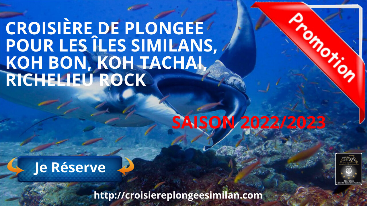 🐋Croisière Plongée Fun aux Iles #Similans avec Thailand Diving