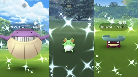 Water Festivel and Other Shinys Compilation