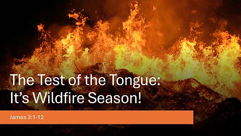 June 23, 2024 - "The Test of the Tongue: It's Wildfire Season" (James 3:1-12)