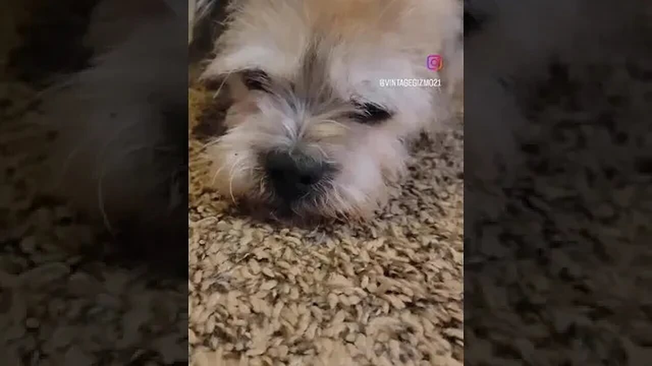 Sensitivity Gizmo