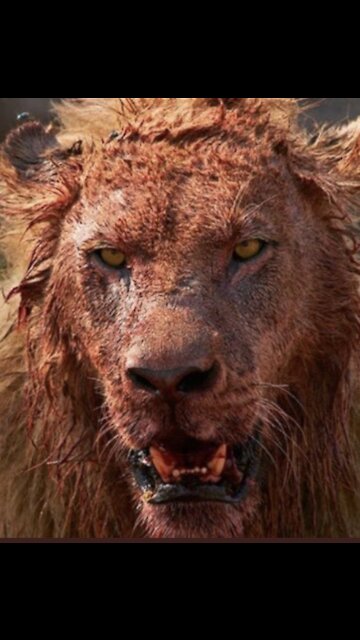 ⏳💻⌛ 🌊🐙 💢👿💥💪😗