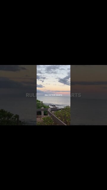 God’s hack for peace! 🤯🙌🏼