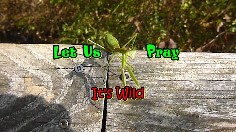 Let Us Pray