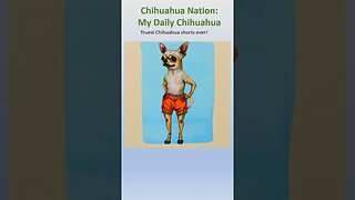 Truest chihuahua shorts ever! #shorts