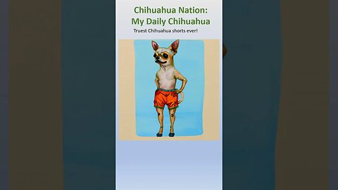 Truest chihuahua shorts ever! #shorts