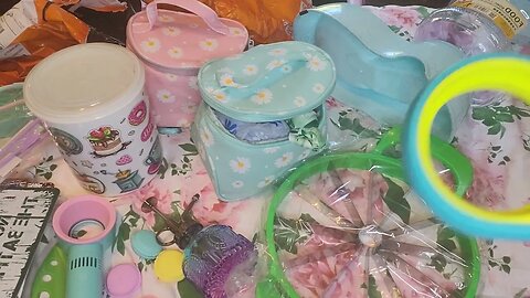 First TEMU haul ( I paid for)