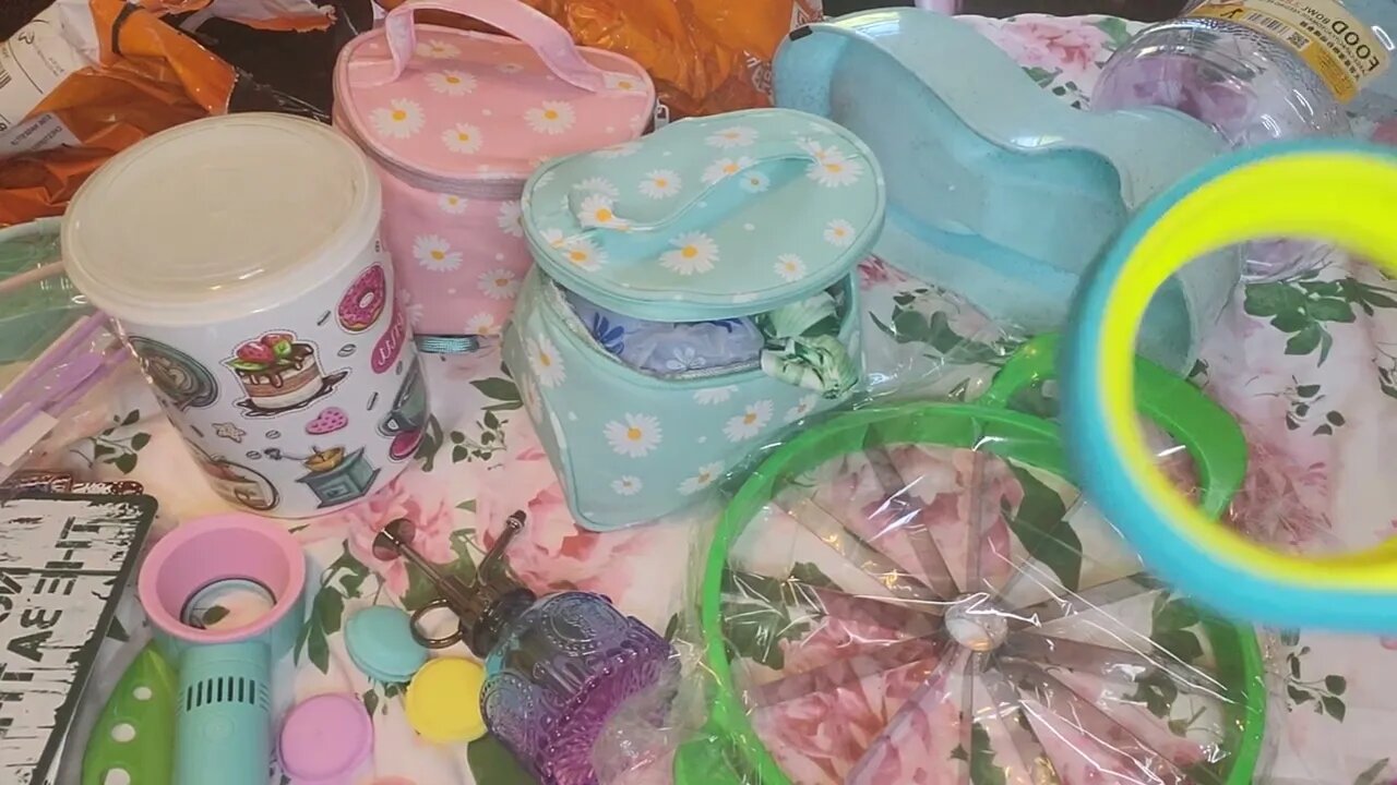 First TEMU haul ( I paid for)