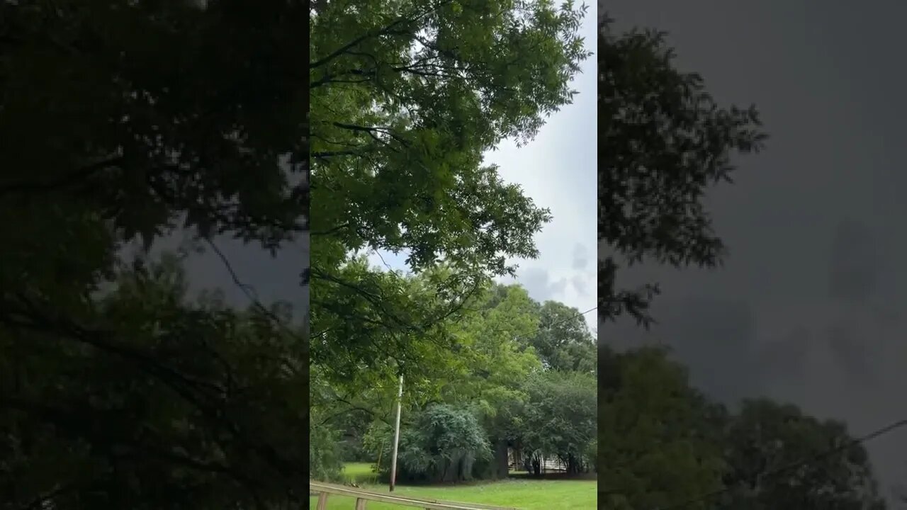 Light wind in Monticello Arkansas on Thursday august 4th 2022
