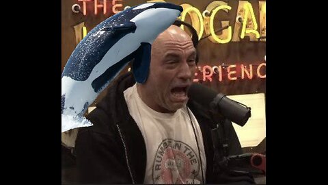 Joe Rogan on whale attacks🐋!