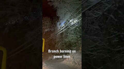 Branch burning on power lines