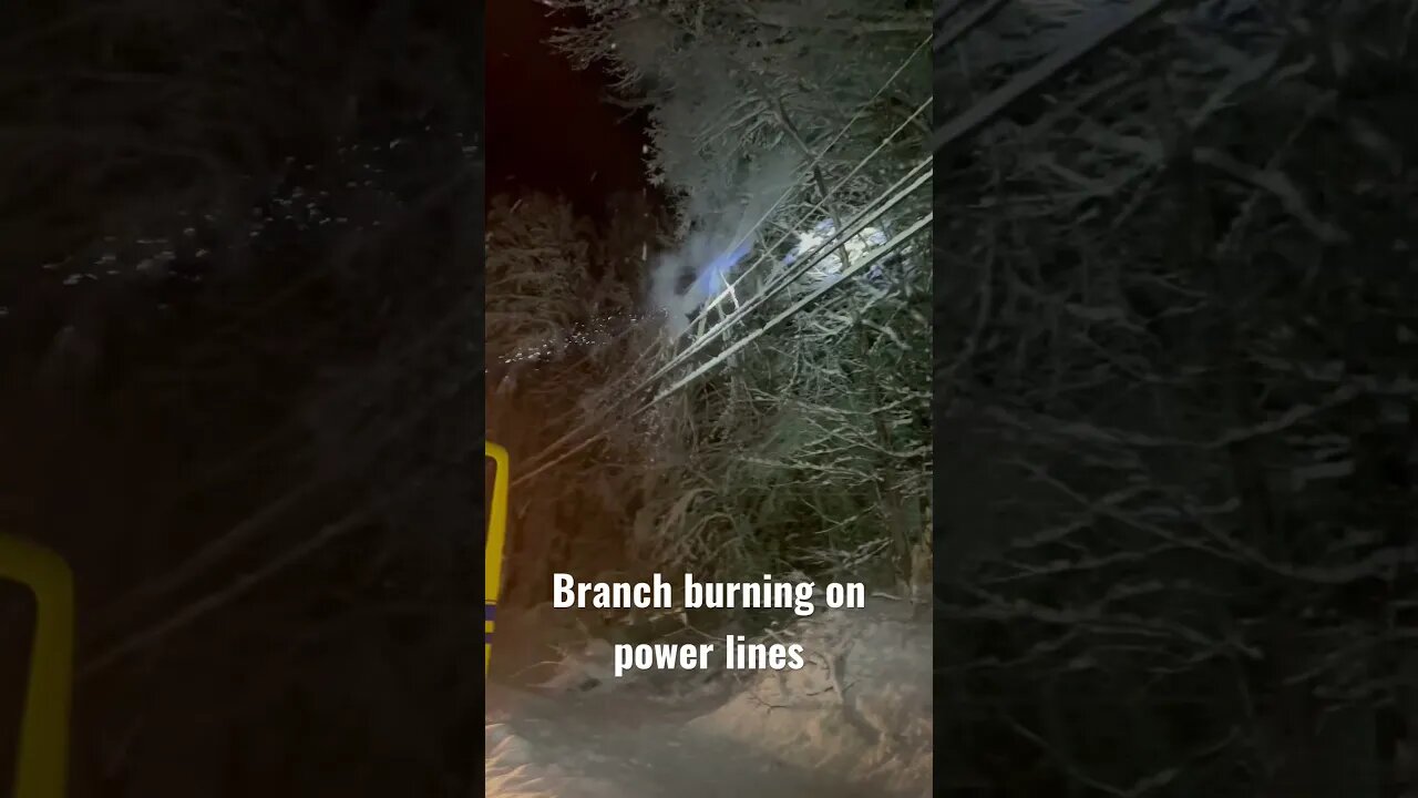 Branch burning on power lines