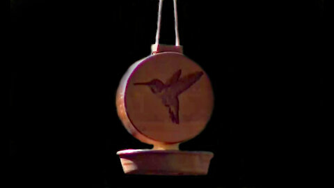 IECV WWV #32 | Hummingbird Feeder From Ted Alexander 7-26-2015