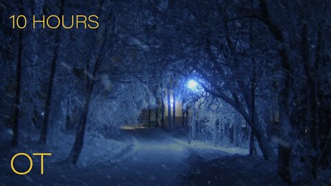 Blizzard in the Park to FALL ASLEEP FAST | Howling Wind & Blowing Snow Ambience | Relax | Sleep
