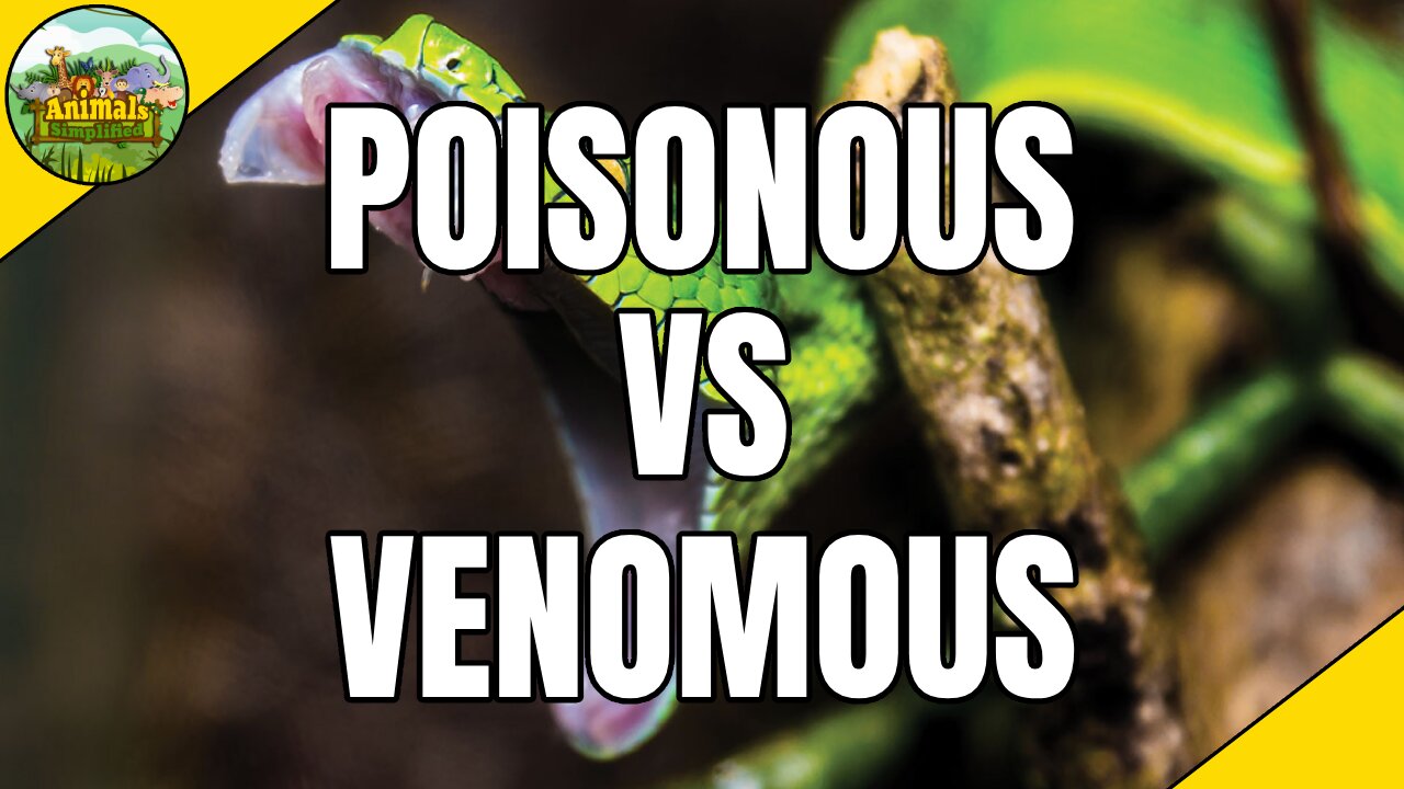 Poisonous and Venomous what's the difference?