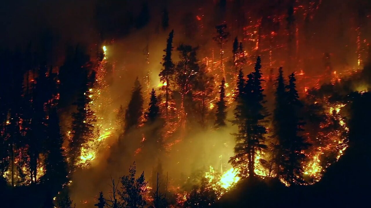 Unveiling Nature's Connection: How Carbon from Wildfires Fuels Ocean Blooms