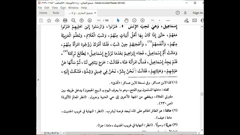 74 المجلس 74 صحيح البخاري قراءة أبي عمر محمد بشير كتاب أحاديث الأنبياء من باب 28 يزفون إلى باب 43