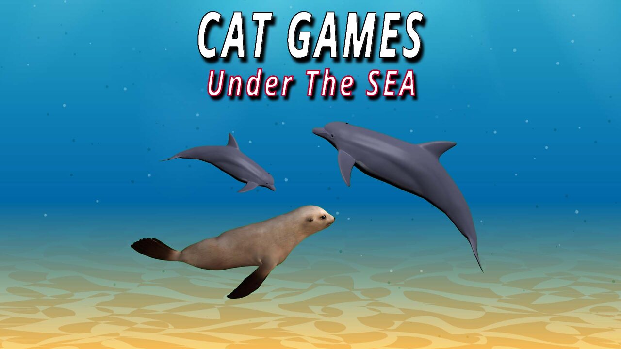 CAT GAMES: UNDER THE SEA