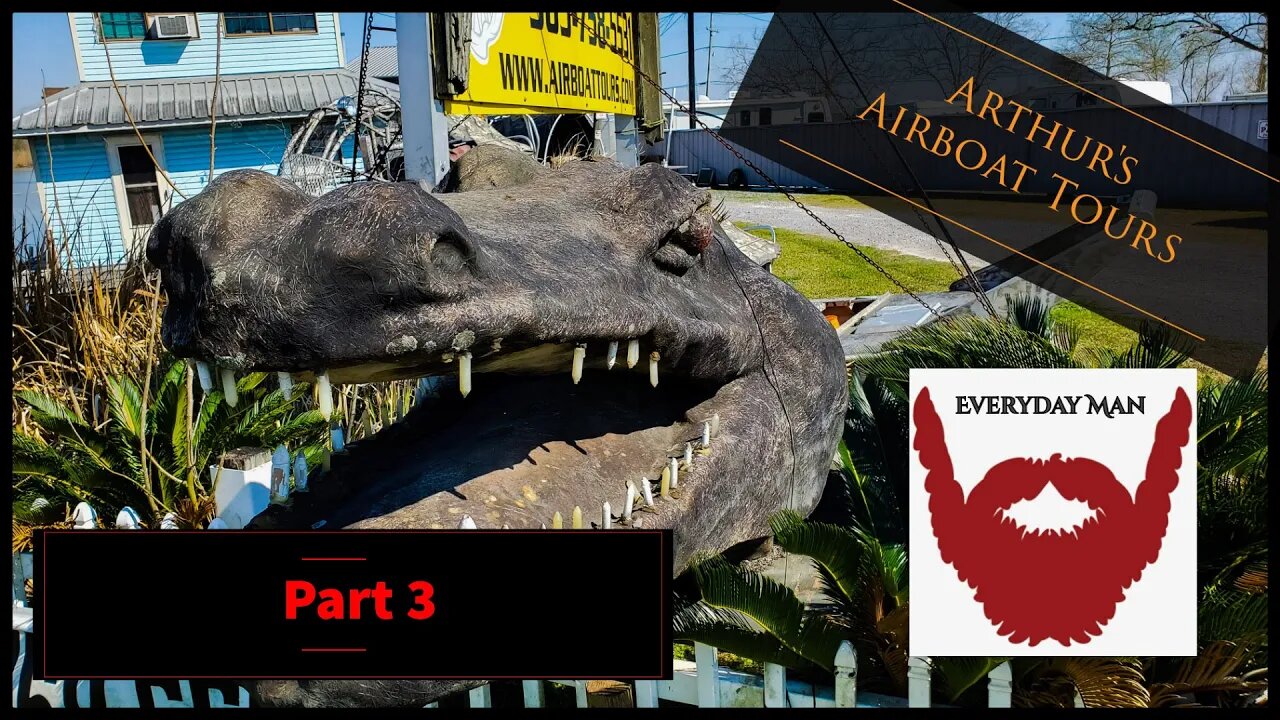 Hand feeding a gator with Airboat Tours by Arthur Part 3 #airboattoursbyarthur #swamptour