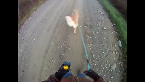 October 11th, 38º Flynn and I go to Prentiss for a change