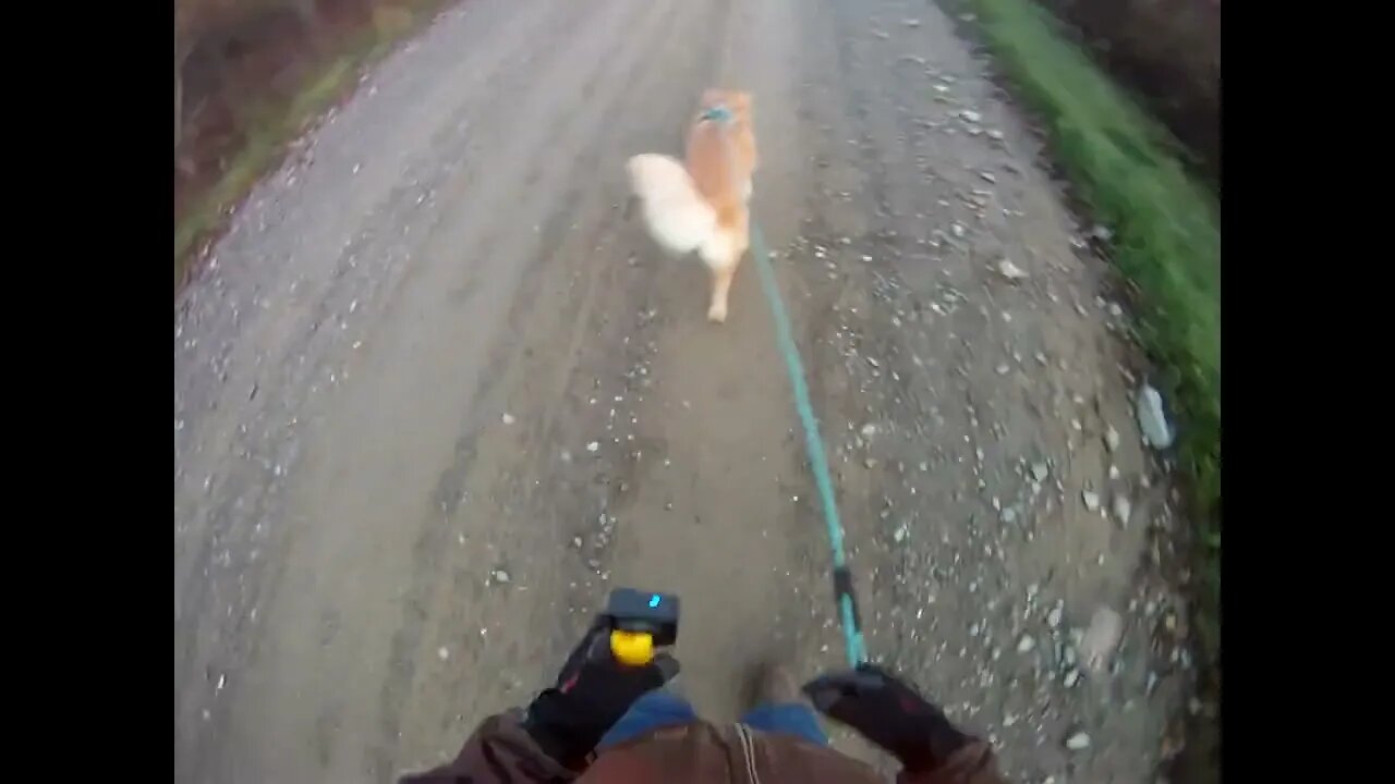 October 11th, 38º Flynn and I go to Prentiss for a change