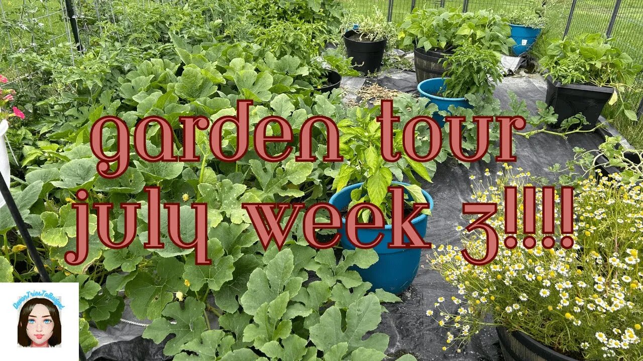 Garden Tour July Week 3! #bcl #garden #gardentour