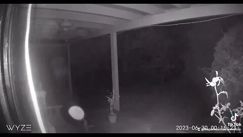 What did the camera capture?