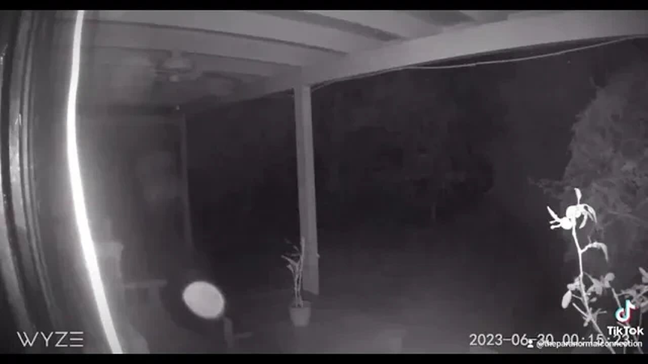 What did the camera capture?