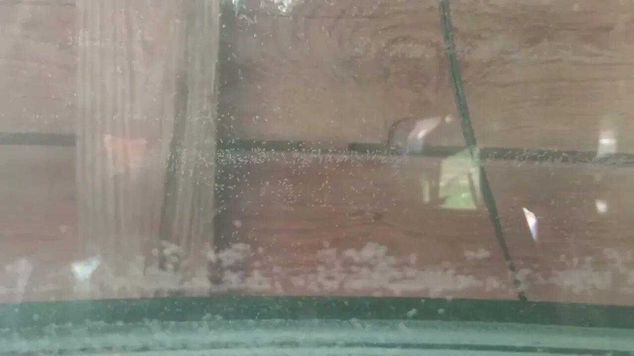 got this new fish tank.