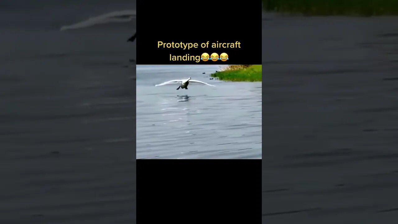 Most Amazing and trending video||relaxing your mind||trendig videos|| #shorts #trending #viral #live